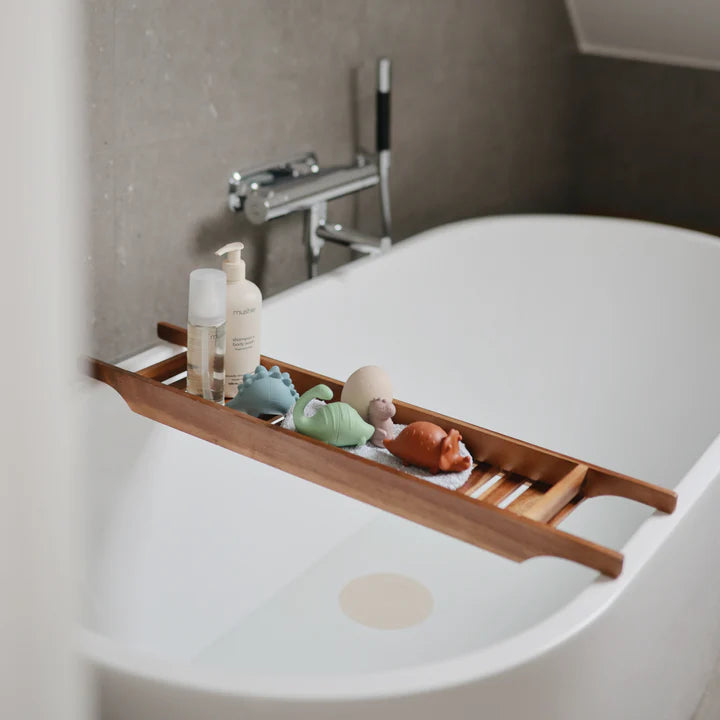 Mould Free Bath Play Set - Dino