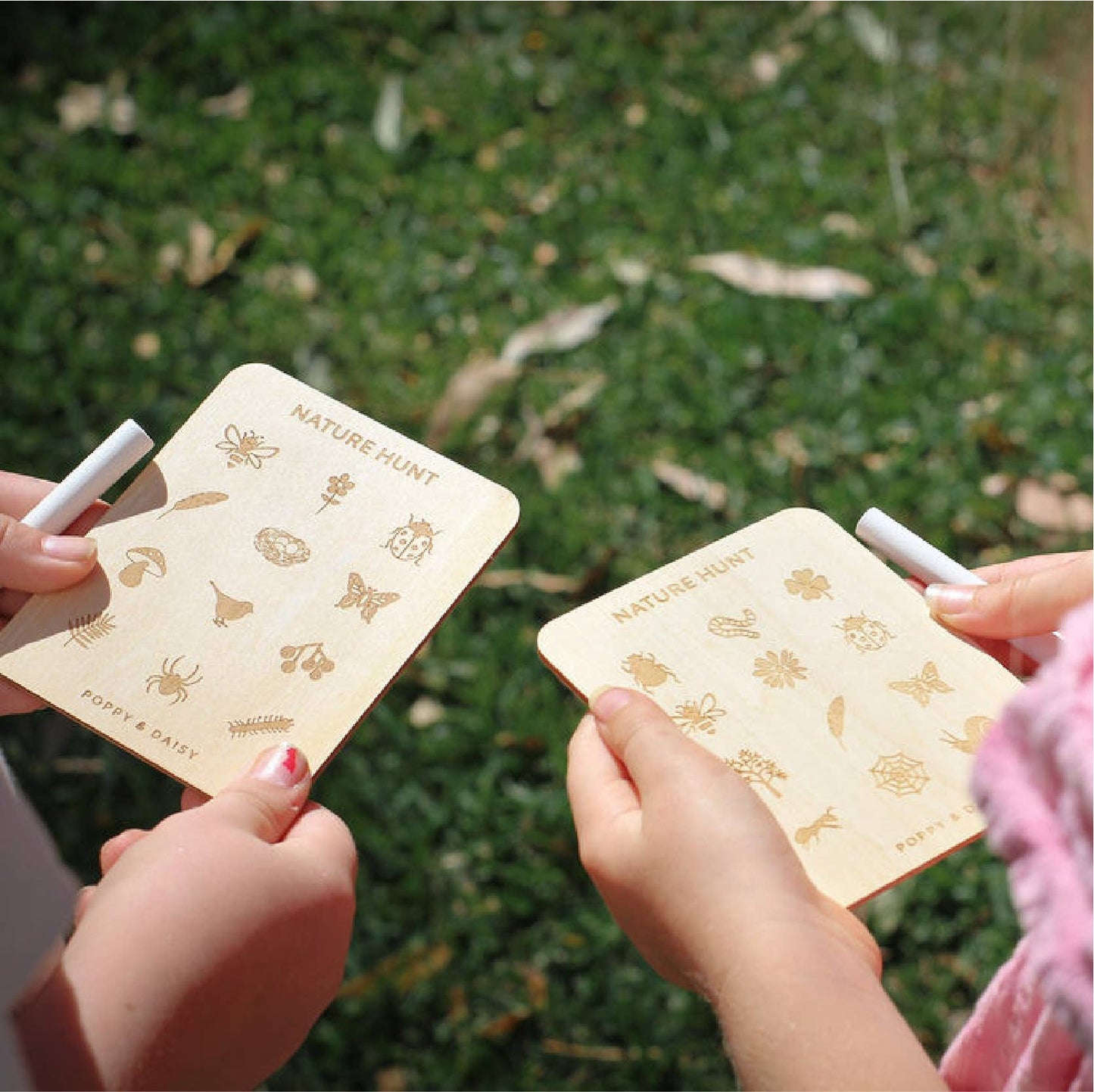 Nature Hunt