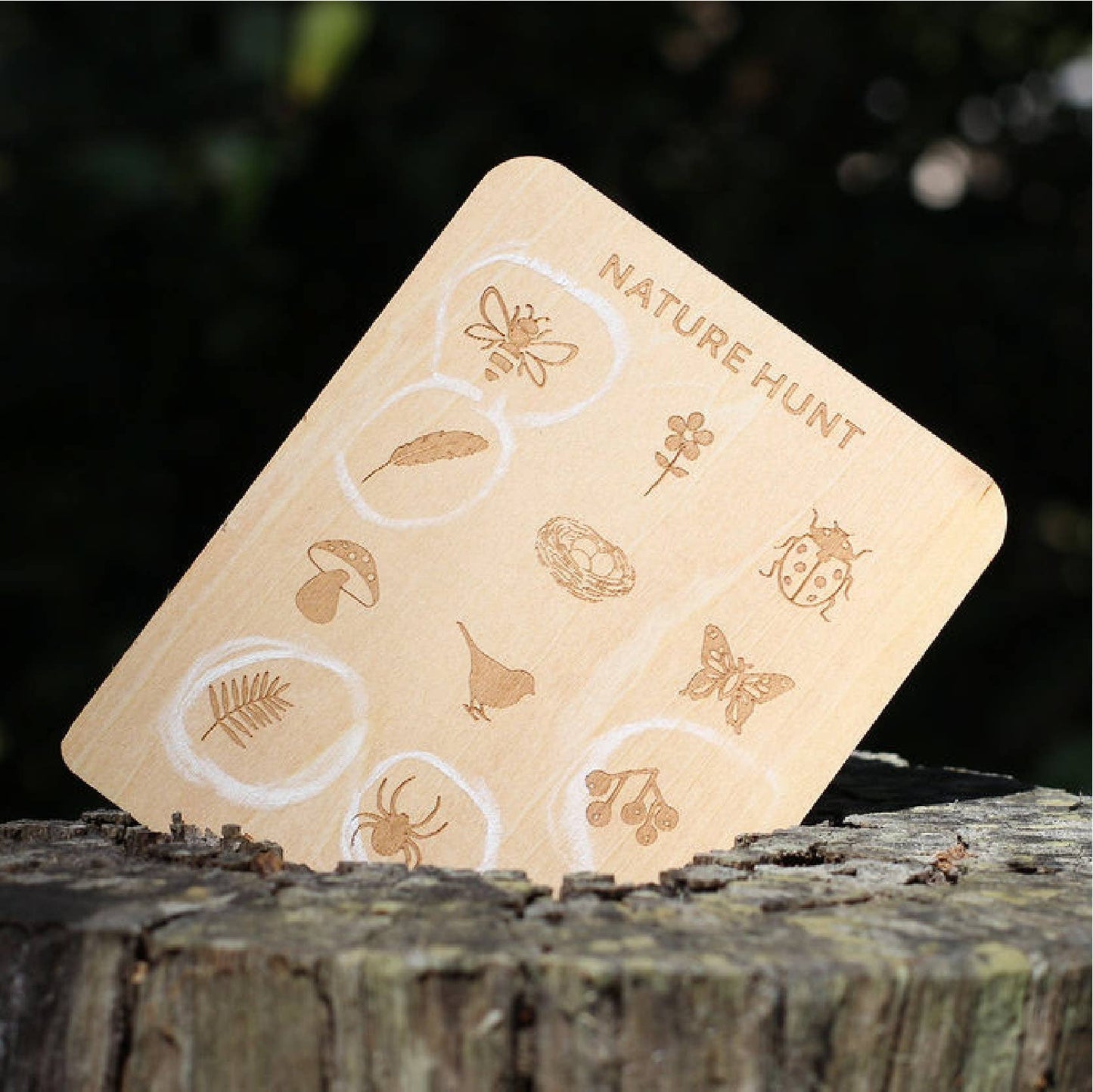 Nature Hunt