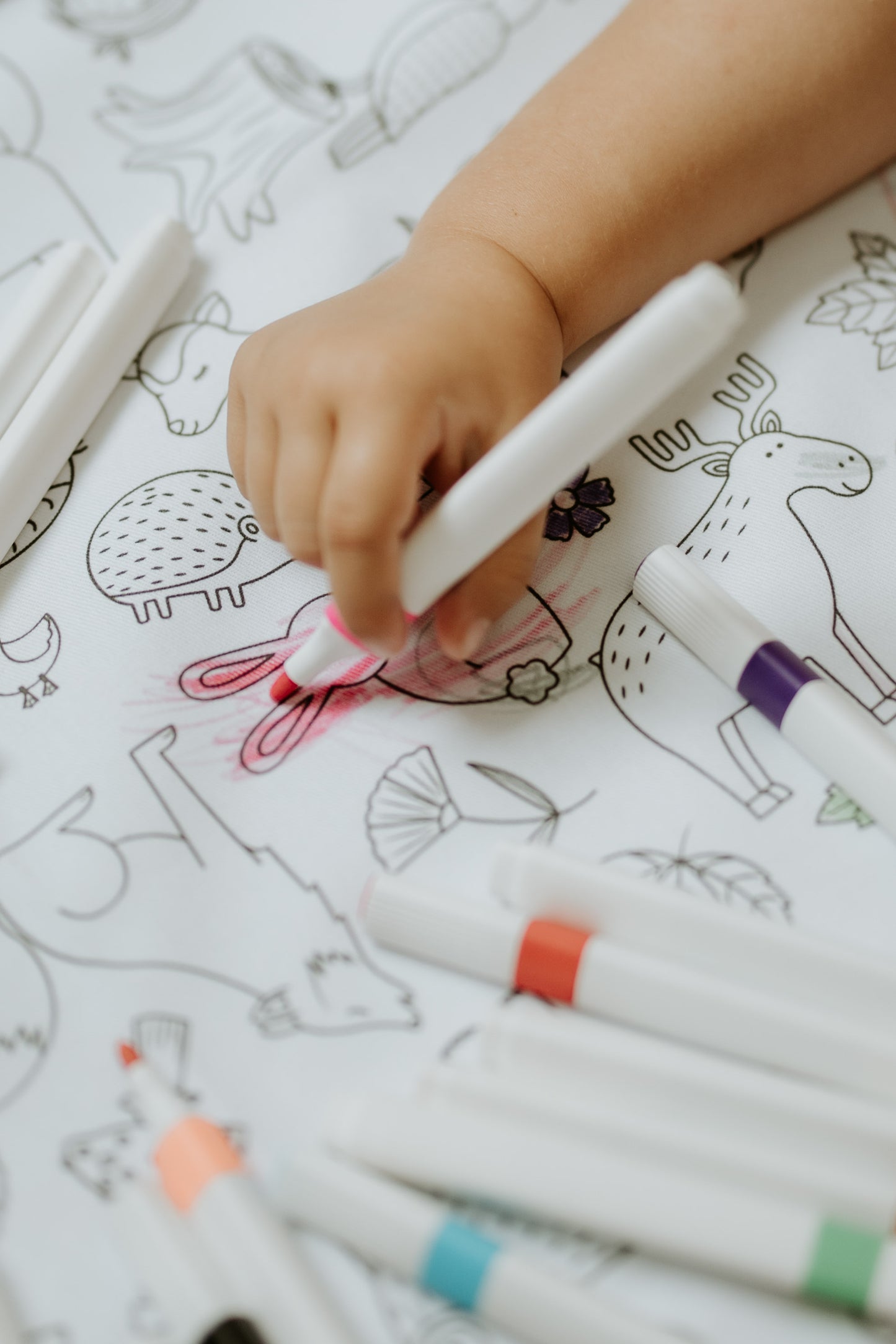 Washable, Reusable Colouring In Tablecloth Set - Woodland Wonders