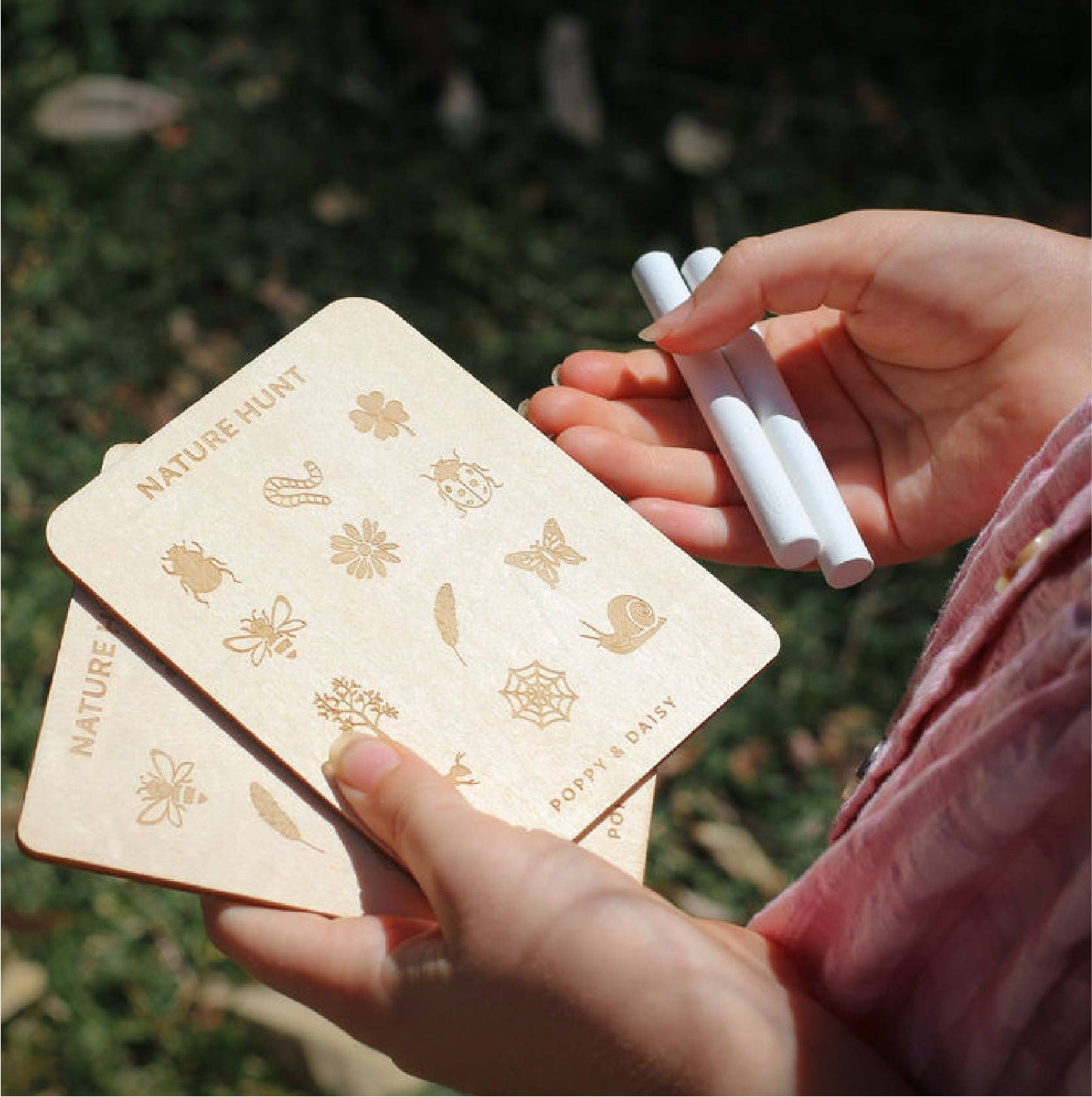 Nature Hunt