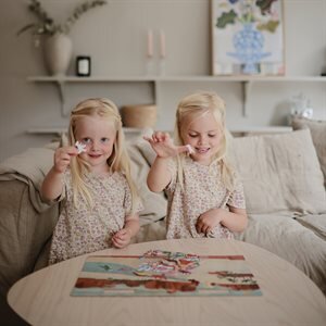 Reusable Sticker Set - Dinosaurs