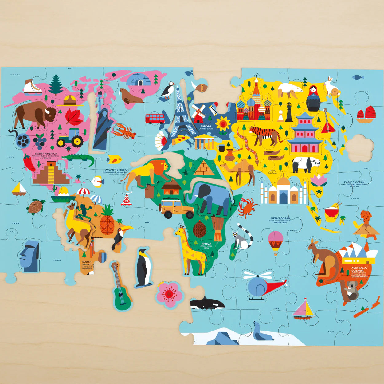 Map of the World Geography Puzzle (78pc)