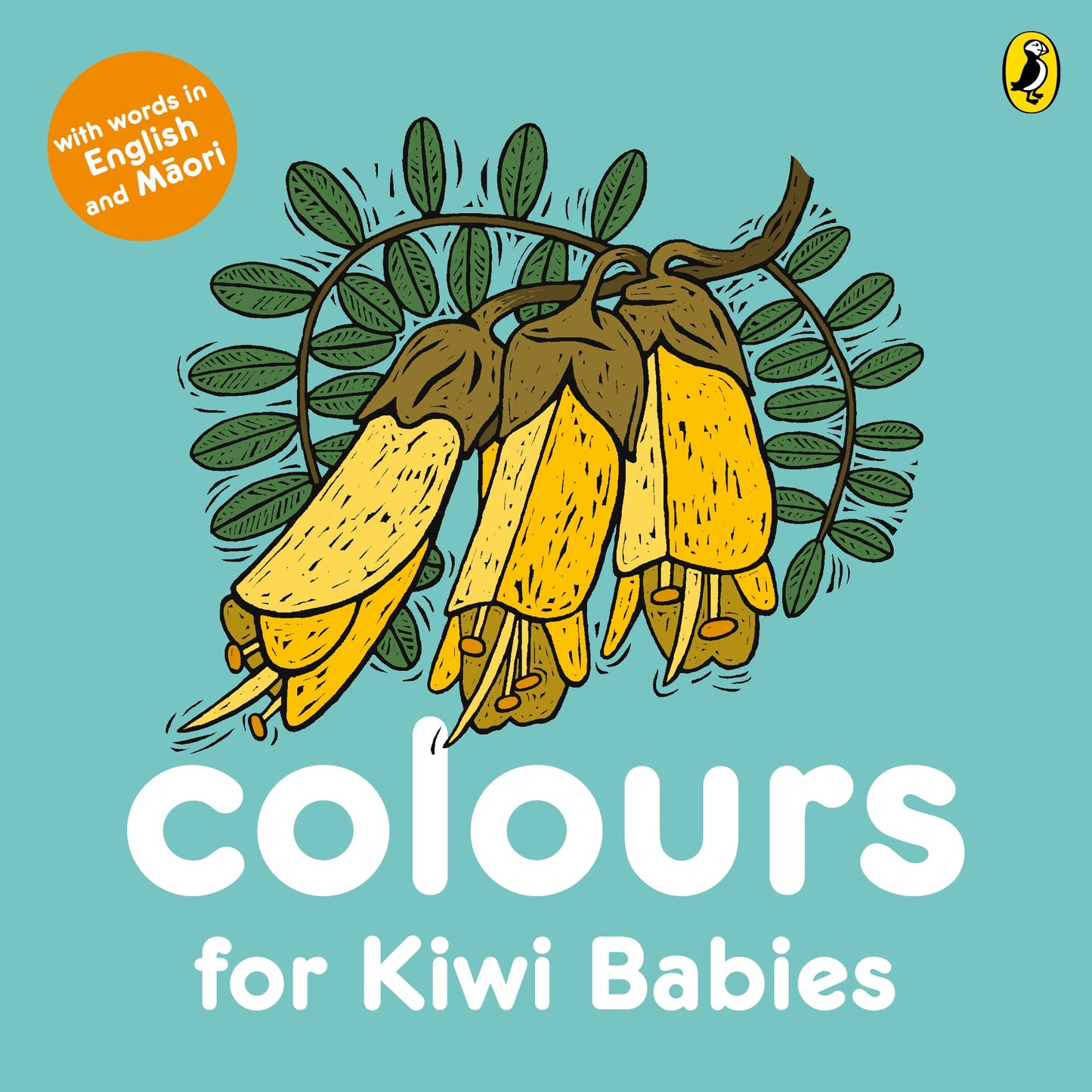 Colours For Kiwi Babies Board Book