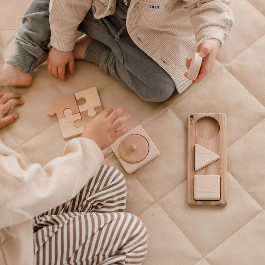 3 Shape Puzzle