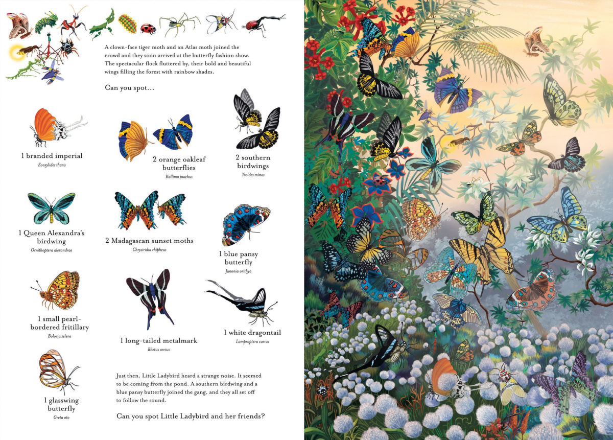 The Incredible 3D Bug Hunt Book