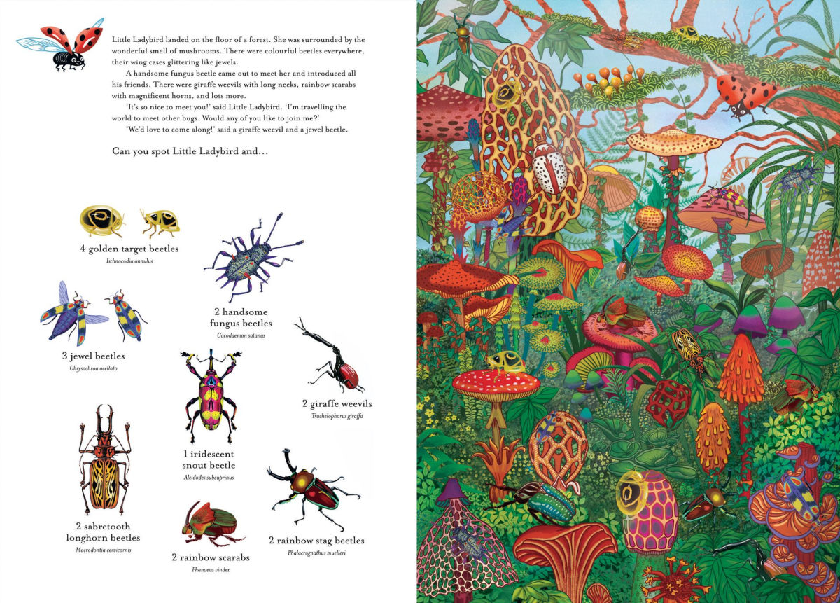 The Incredible 3D Bug Hunt Book