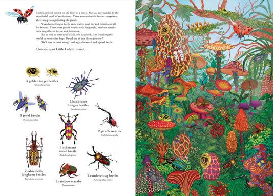 The Incredible 3D Bug Hunt Book