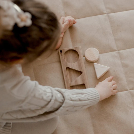 3 Shape Puzzle